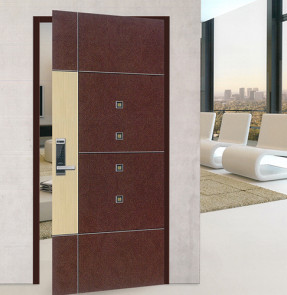 SY COLOR STEEL DOOR (SY-C-014)