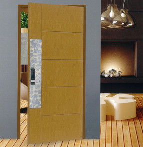 SY COLOR STEEL DOOR (SY-C-618)