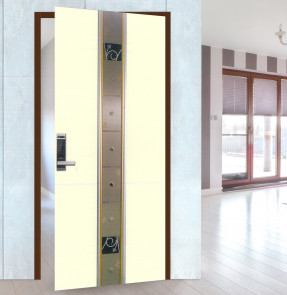 SY GLASS DOOR (SY-C-684)